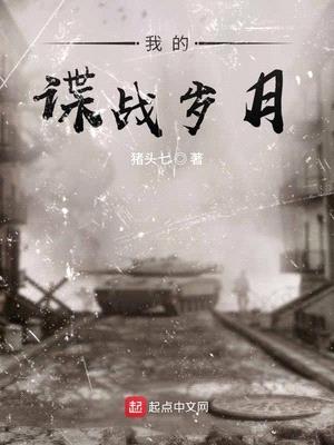 我的谍战岁月封面