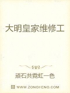 大明皇家维修工封面